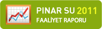 Pınar Su 2010 Faaliyet Raporları