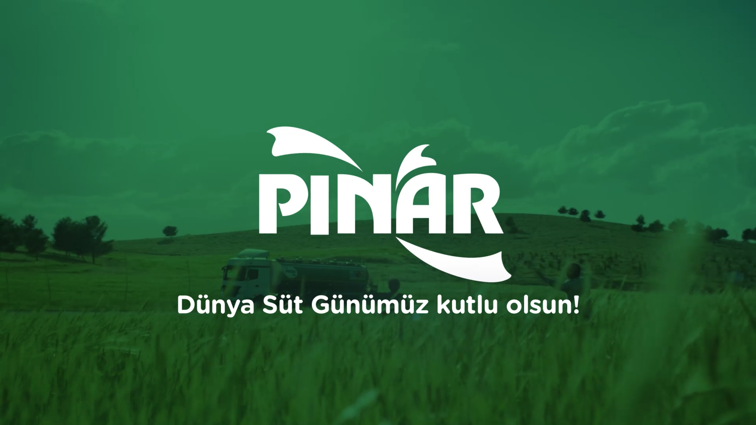 pinar