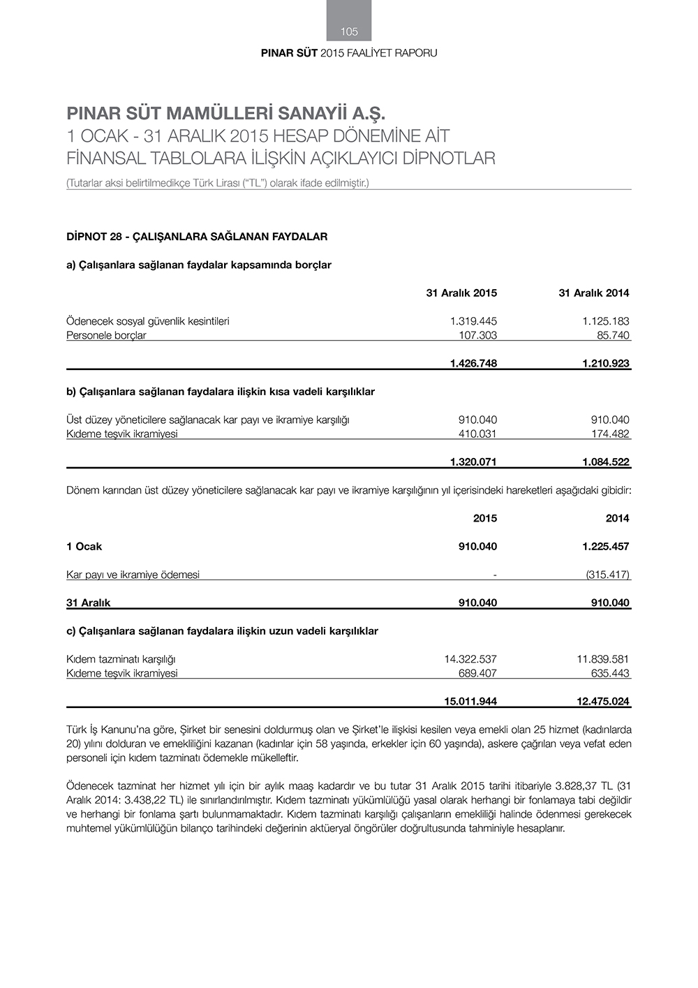 pinar sut finansallar48