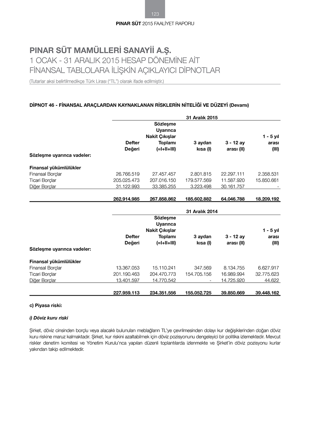 pinar sut finansallar66