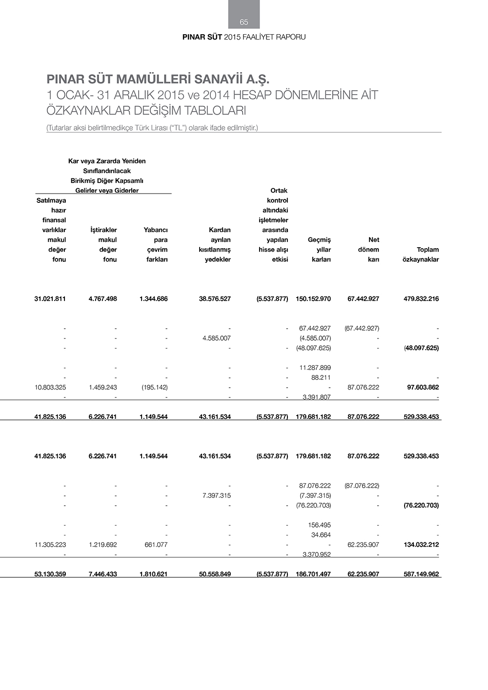 pinar sut finansallar8